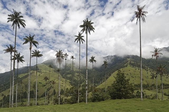 Colombia vakantie