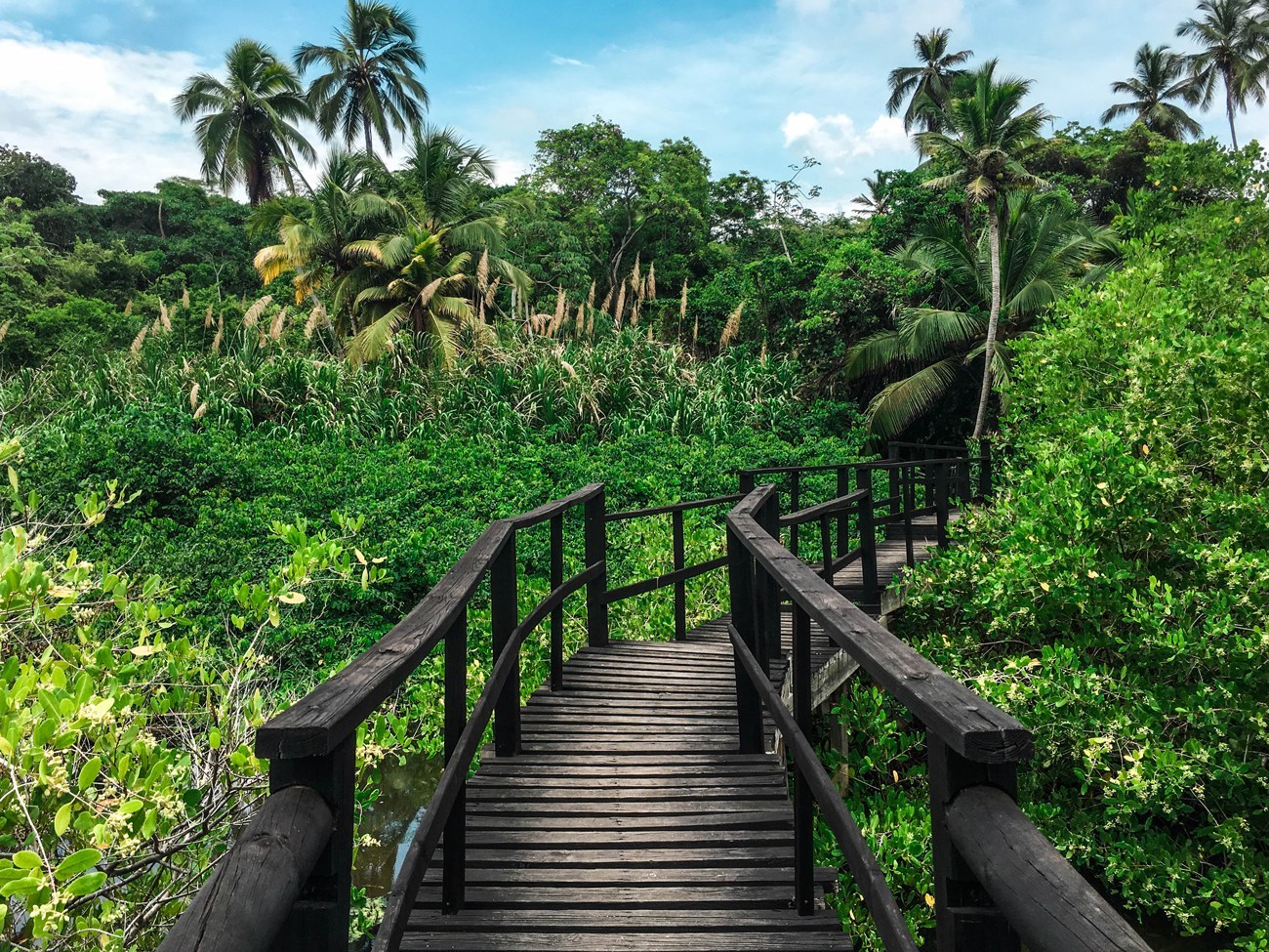 Tayrona national park